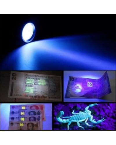 Ultra Violet (UV) torch light, Fishing, Lure lighting Lamp with battery 7748492 - Image 3