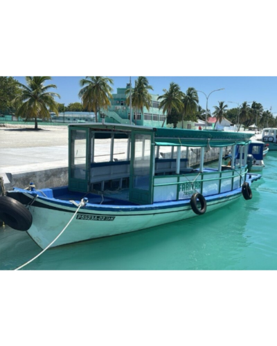 #16260 Dhoni for IMMEDIATE SALE